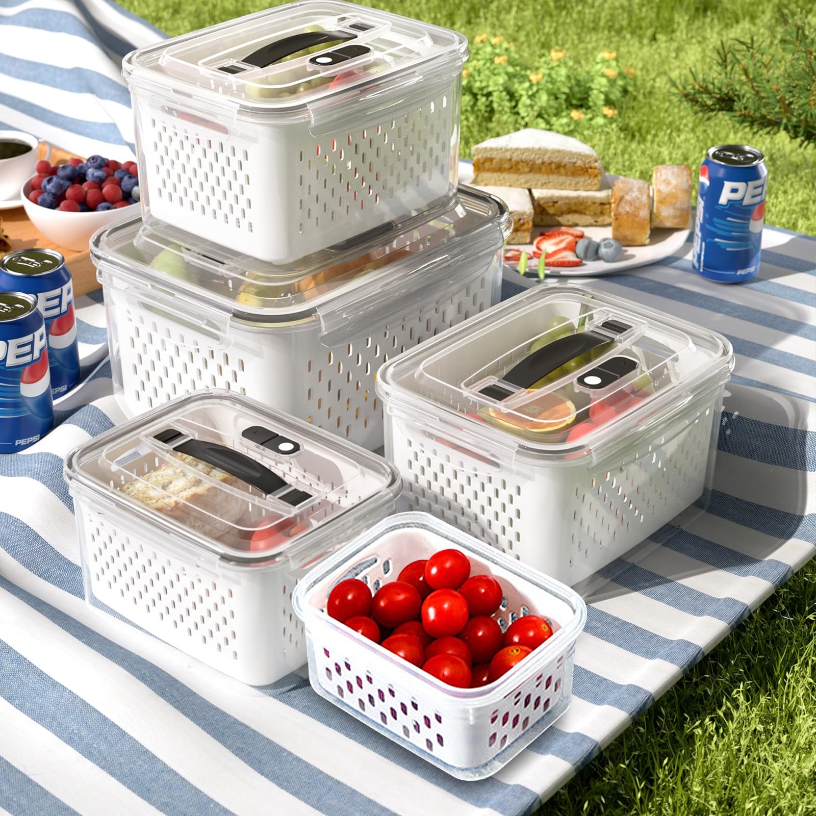 Which Containers Keep Food Fresh Longer