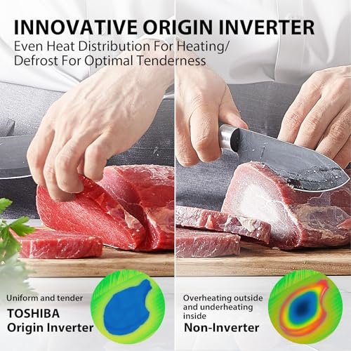 Best Inverter Microwave Oven