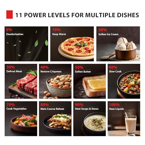 TOSHIBA ML-EM09PA(BS) Oven Review