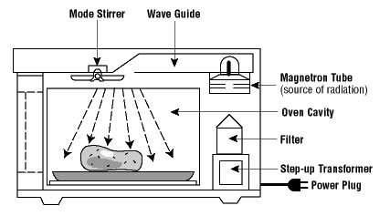 Microwave Cooking Physics