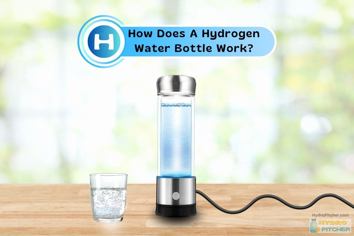 Hydrogen Water Bottle Operation & Maintenance