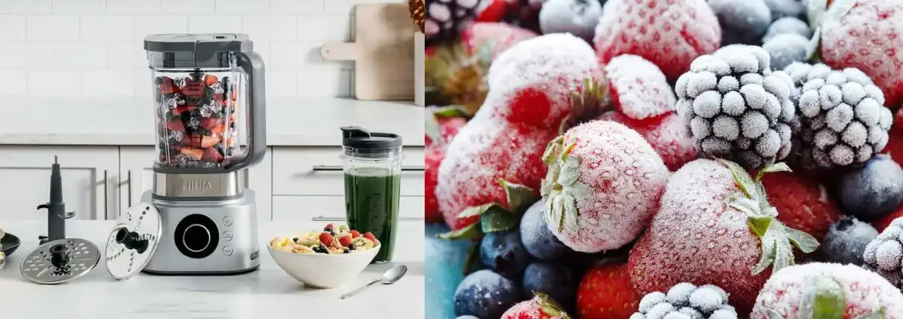 Food Processor Fruit & Frozen Food Preparation