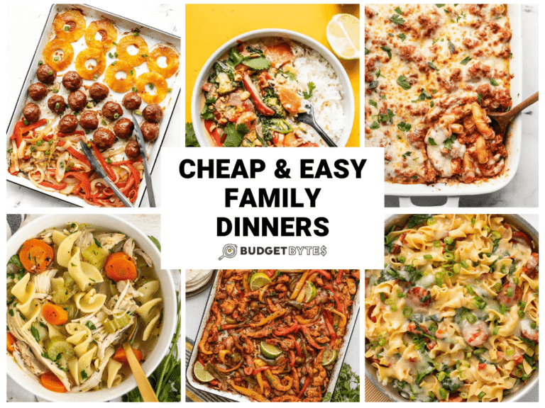 Quick Family Meals