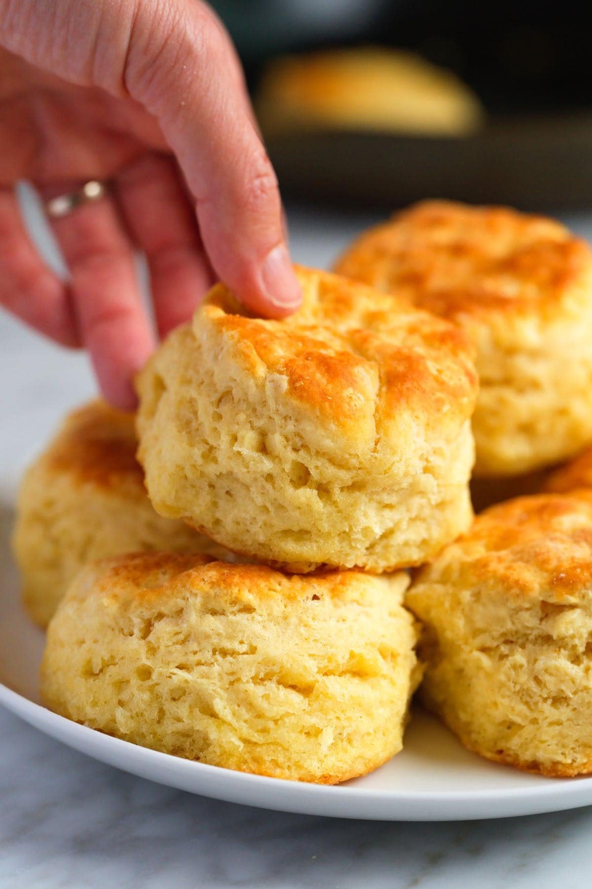 Homemade Biscuit Recipe